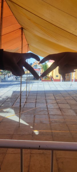 Foto de neuronota