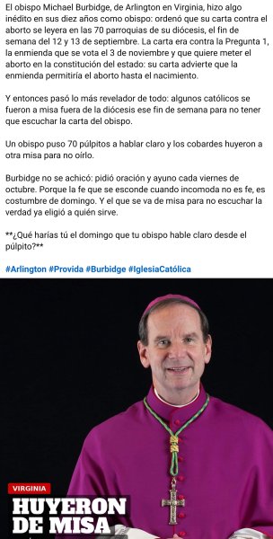 Foto de neuronota