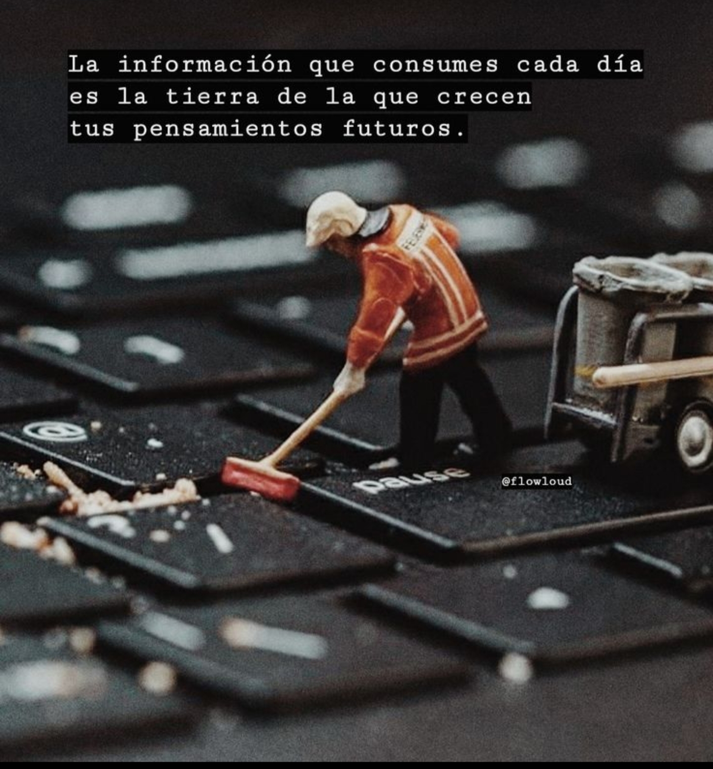 Foto de neuronota