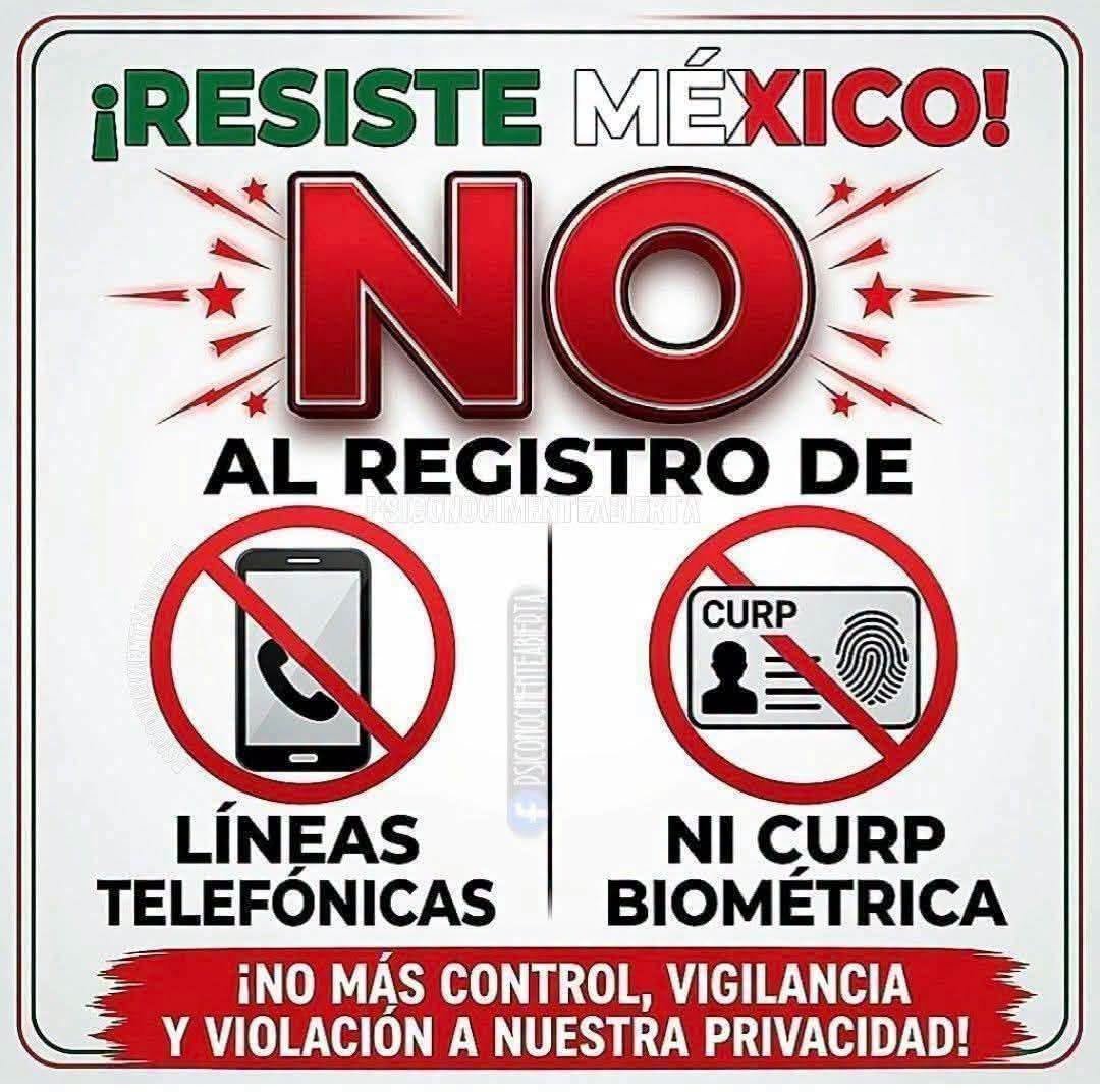Foto de neuronota