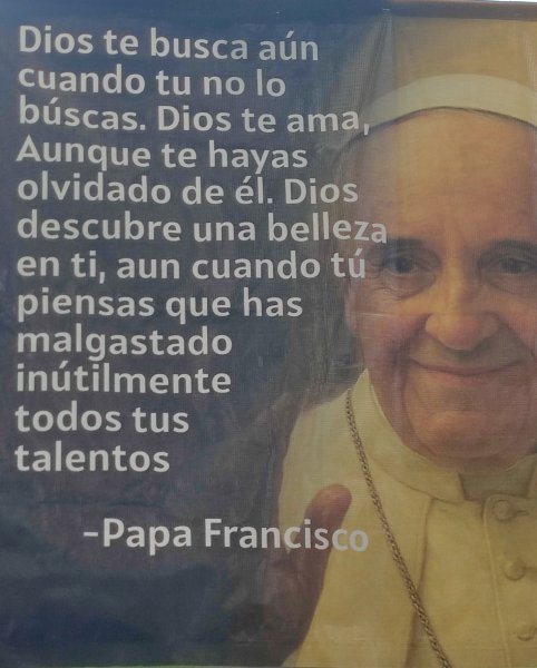 Foto de neuronota